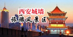 干死日本B中国陕西-西安城墙旅游风景区