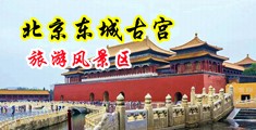 操中国美女小逼逼中国北京-东城古宫旅游风景区